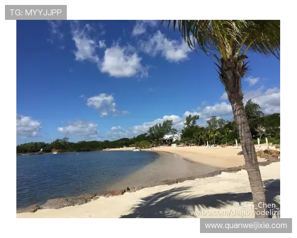 空中飞车双跳伞:当车手与座驾共舞蓝天